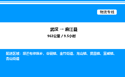 武汉到麻江县物流专线直达运输 武汉到麻江县物流专线直达运输
