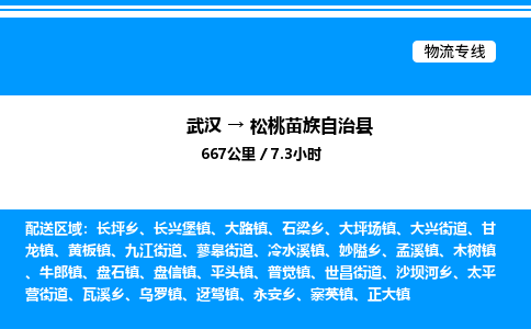 武汉到松桃苗族自治县物流专线直达运输